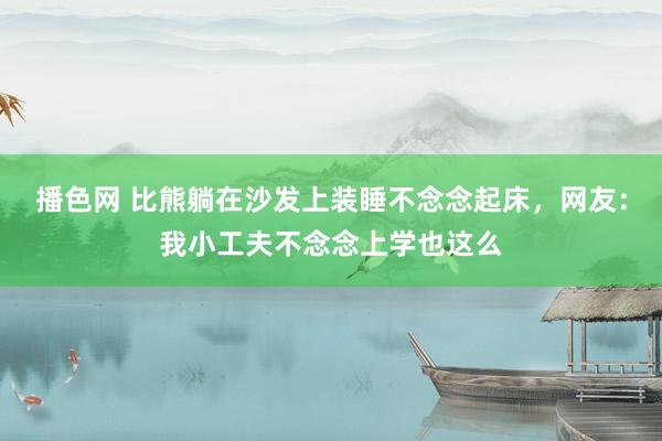 播色网 比熊躺在沙发上装睡不念念起床，网友：我小工夫不念念上学也这么