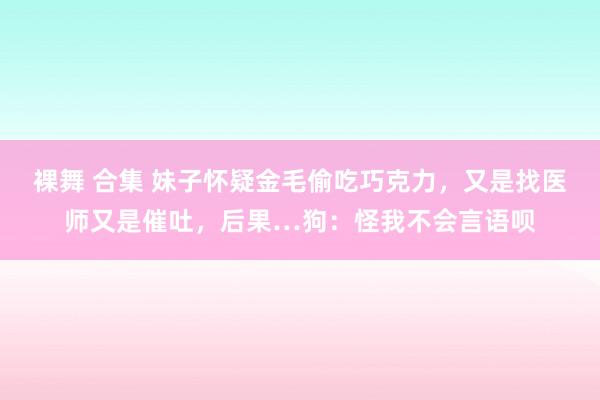 裸舞 合集 妹子怀疑金毛偷吃巧克力，又是找医师又是催吐，后果…狗：怪我不会言语呗