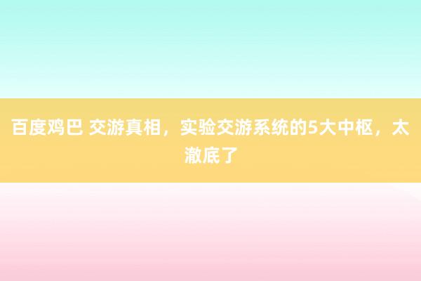 百度鸡巴 交游真相，实验交游系统的5大中枢，太澈底了