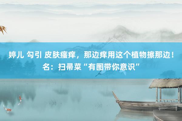 婷儿 勾引 皮肤瘙痒，那边痒用这个植物擦那边！名：扫帚菜“有图带你意识”
