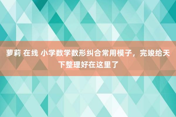 萝莉 在线 小学数学数形纠合常用模子，完竣给天下整理好在这里了