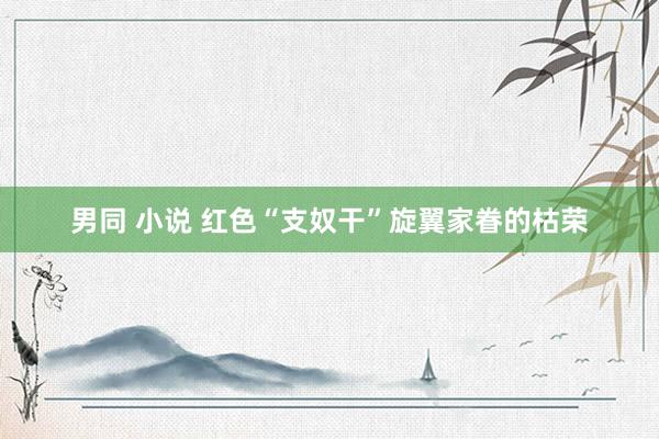 男同 小说 红色“支奴干”旋翼家眷的枯荣