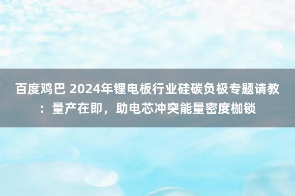百度鸡巴 2024年锂电板行业硅碳负极专题请教：量产在即，助电芯冲突能量密度枷锁