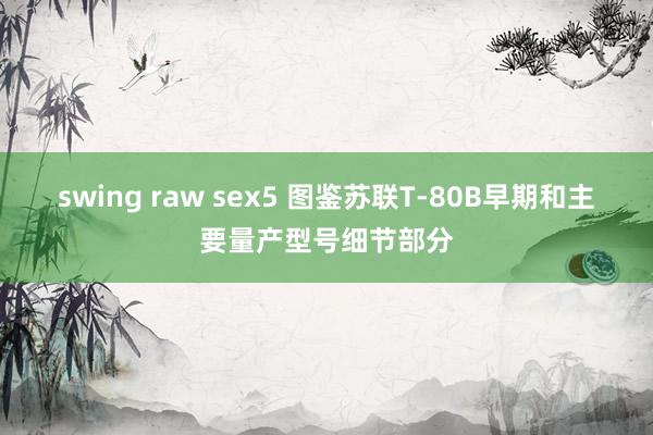 swing raw sex5 图鉴苏联T-80B早期和主要量产型号细节部分