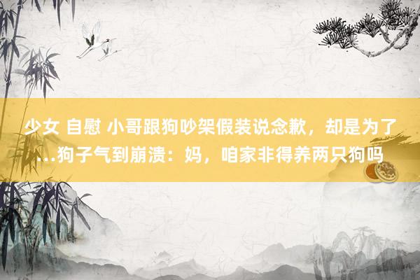 少女 自慰 小哥跟狗吵架假装说念歉，却是为了…狗子气到崩溃：妈，咱家非得养两只狗吗