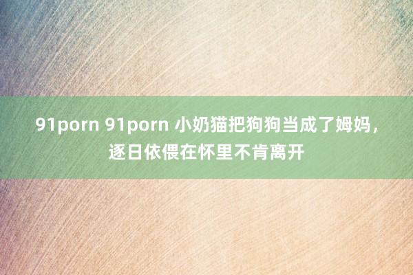 91porn 91porn 小奶猫把狗狗当成了姆妈，逐日依偎在怀里不肯离开