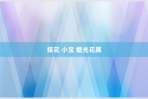 探花 小宝 蟾光花属