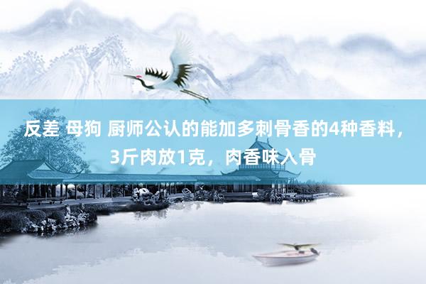 反差 母狗 厨师公认的能加多刺骨香的4种香料，3斤肉放1克，肉香味入骨
