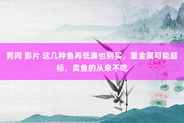 男同 影片 这几种鱼再低廉也别买，重金属可能超标，卖鱼的从来不吃